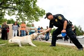 K9 Boomer presentation